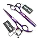 5.5 Inches Hair Scissors with Thinning Comb Hair Cutting Shears Thinning Shears Set for Professional and Personal (Violet)