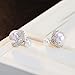 Cuicanstar Women's Silver Plated Double Sides Round Faux Pearl Rhinestones Stud Earrings CZ Hollow Lace (White)