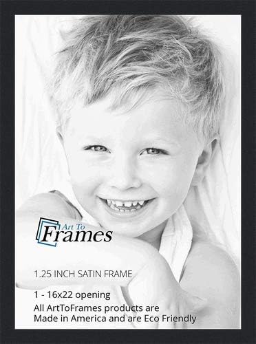Photo Albums, Frames & Accessories - ArtToFrames 16x22 inch Satin Black Picture Frame, 2WOMFRBW26079-16x22
