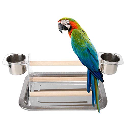 UTOPIAY Bird Playstand with 2 Feeding Cups Parrot Playground Wood Perch Gym Training Stand Playpen Bird Toys Exercise Playgym Small Birds Cage Accessories Toy for Parakeet Conure Cockatiel,withtray