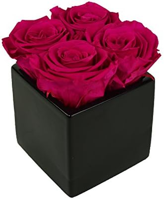 Luxe Bloom Home Collection 4 Fresh Cut Preserved Sangria Pink Roses in a3" Black Ceramic Cube Vase Lasts 60 days