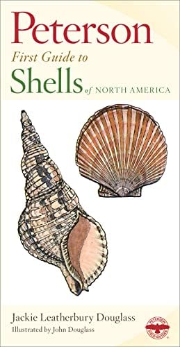 The Encyclopedia of Shells: Wye, Kenneth R.: 9780816027026: Amazon