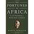 The Fortunes of Africa: A 5000-Year History of Wealth, Greed, and Endeavor