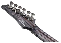 Ibanez RGT1221PBDTF RG Series Premium 6-String Elec