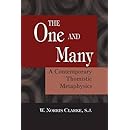 The One and the Many: A Contemporary Thomistic Metaphysics