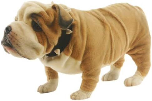 british bulldog teddy