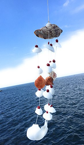 WD-Beautiful Seashell Wind chime Nautical Hanging - Noly shell top for room door window 19 inch