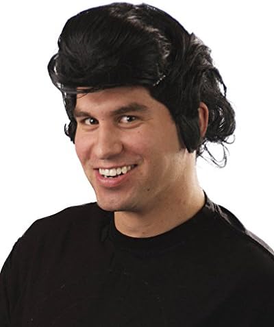 My Costume Wigs Men's Ace Ventura Pet Detective Costume Wig (Black) One Size fits all