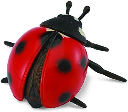 comprar mariquitas amazon