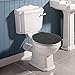 MAYSHINE Toilet Lid Cover - Black, Plush Microfiber Oval Toilet Seat Covers for Bathroom, Machine Washable Elongated Toilet Cover Seat, Stretches up to 21
