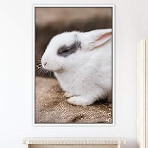 signwin Framed Canvas Wall Art Bunny Animals Bedroom...