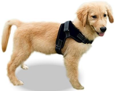No Pull Reflective Adjustable Dog Harness with Handle (Large Black)
