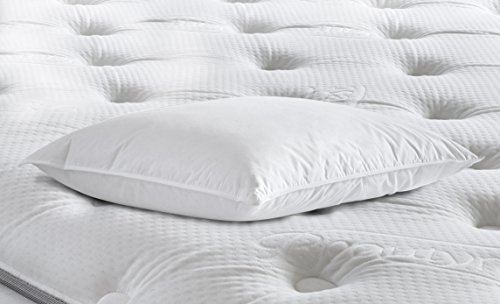 Marriott Official Pillow Hypoallergenic Lyocell Down Pillow With
