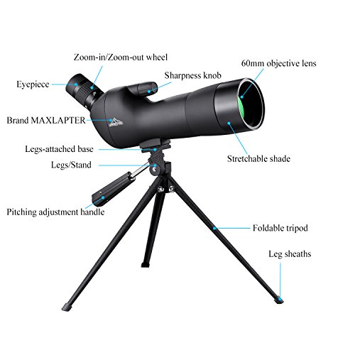 BEBANG 20-60x60 Spotting Scope for Bird Watching, Waterproof Zoom Scope with high Definition, FMC Coated Optical Lens, for Target Shooting, with a Tripod, Smartphone Adapter, Canon Camera Adapter - Thumbnail 7