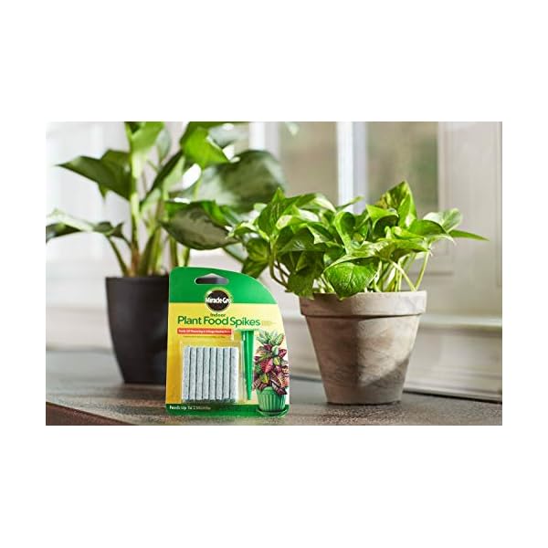 MiracleGro Indoor Plant Food Spikes, Includes 24 Spikes Continuous