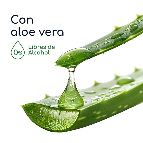 Walfort | Toallitas Húmedas para Manos. Tela Reforzada. Limpieza sin irritación. 12 Pack de 12 Unidades c/u. Uso Diario.