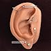 BodyJ4You 3PC Labret Stud Tragus Earring Set 16G Goldtone Steel Crystal Helix Lip Monroe Cartilage