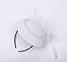 Cizoe Fascinators Hats 20s 50s Hat Pillbox Hat Cocktail Tea Party Headwear with Veil for Girls and Women(B-White)