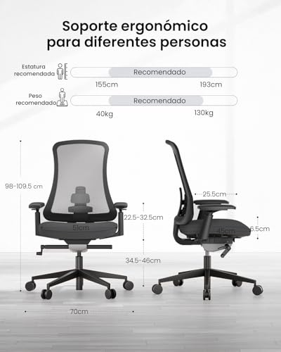 ProtoArc Ergonomic Desk Chair High Back Nylon Mesh, Incline Weight-Adaptive, Breathable Seat, Adjustable Arms, Tilt Lock (Flexer Pro – Black)