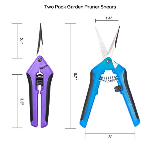 Terme Two Packs of Gardening Hand Pruner Pruning Shear with Straight Stainless Steel Blades