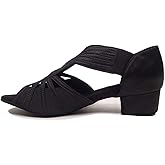 HIPPOSEUS Women Low Heel Latin Ballroom Dance Shoes Indoor Salsa Batchata Practice Dancing Shoes