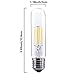 Dimmable 4W Tubular LED Bulb, Edison Style COB LED Filament Bulb, T10 nostalgic bulb, E26 Medium Base, 60 Watt Incandescent Bulb Equivalent, 2700K Warm White,400LM,Clear Glass Cover, 3-Pack