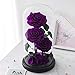 Preserved Real Rose Handmade Eternal Rose in Glass Doom Gifts for Her Valentine's Day Mother's Day Anniversary Birthday (3 Purple Rose)
