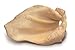 EcoKind Pet Treats Jumbo (6-8 inches Each) Cow Ear Dog Treats - 100% All-Natural Beef Dog Chews - Promotes Dental Health - Durable & Long-Lasting, Free Range Grass Fed Cattle (6 Ears)