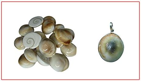 SwadesiBuyzzar 11 Gomti Chakra With 1 Pendant 5 X 3 Color:White