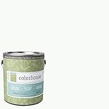Inspired Eggshell Interior Paint, Imagine .01, Gallon