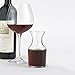 Wine Enthusiast Individual Decanters, Set of 4