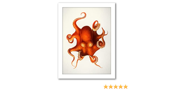 Americanflat 24 X 36 White Framed Art Print Vintage Octopus By Chaos Wonder Design Everything Else Amazon Com