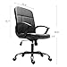 Office Chair, Ergonomics Mesh Chair Computer Chair Desk Chair High Back Chair w/Adjustable Headrest and Armrest