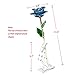 DEFAITH 24K Gold Dipped Real Rose Gifts, Best Wedding Anniversary Valentines Day Love Gift for Her Wife Girlfriend Spouse, Teal Blue with Stand