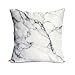 Ojia Luxury Home Decorative Soft Silky Satin Marble Texture Two Sides Personalized Throw Cushion Cover/Pillow Sham (18 X 18 Inch, White Marble)