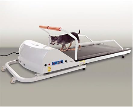 Amazon ペットラン Pr 710f 小 中型犬用運動器 全長1ｍ56cm Dog Treadmill Iwate 犬用アジリティ 運動器具 通販
