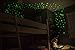 Glow Dark Stars - Best & Brightest Glow In The Dark Stars - An Amazing Gift For Any Kid - FREE Constellations Booklet! - Perfect For Decorating Any Baby Nursery, Room Ceilings, Walls, Doors, & More!