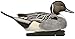 Avian X Topflight Pintail Decoys, Rugged Realistic Floating Duck Decoys for Hunting, Weight-Forward Swim Keel, Set of 6, Multicolor