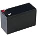 ALEKO LM125 12V 7AH Sealed Lead Acid Rechargeable Battery