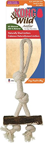 kong antler large
