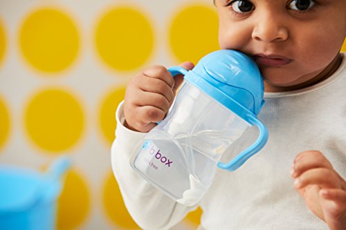 b.box Sippy Cup Replacement Straws and Cleaner | Includes 2 Straws and 1 Cleaner | BPA-Free | Phthalates & PVC Free | Dishwasher Safe