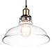 Pendant Lights Hanging Glass Ceiling Mounted Chandelier Fixture,Oak Leaf Vintage Industrial Edison Glass Ceiling Pendant Lighting
