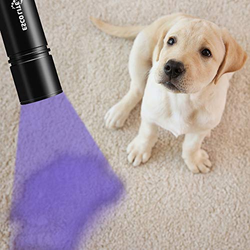 Escolite UV Flashlight Black Light Flashlight, 2pcack 12 LED 395 nM Ultraviolet Blacklight Flashlight Detector for Dog Urine, Pet Stains, Matching with Pet Odor Eliminator(Betteries not Include) - Thumbnail 3