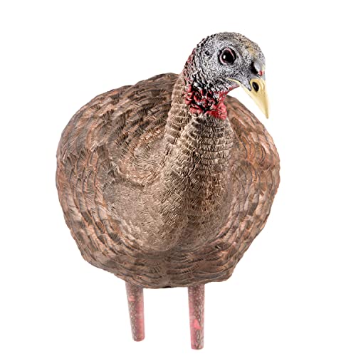AVIANX LCD Breeder Hen Turkey Decoy Durable Realistic Lifelike Collapsible Standing Hunting