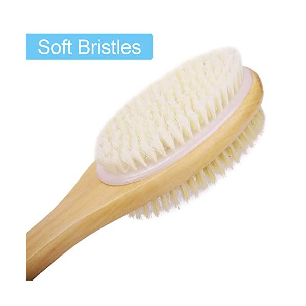 Metene-Back-Scrubber-for-Shower-Shower-Brush-for-Exfoliating-Skin-and-A-Soft-Scrub-Double-sided-Body-Brush-Head-for-Wet-or-Dry-Brushing-Long-Wooden-Handle-Cleans-the-Body-Easily Metene Back Scrubber for Shower, Shower Brush for Exfoliating Skin and A Soft Scrub, Double-Sided Body Brush Head for…