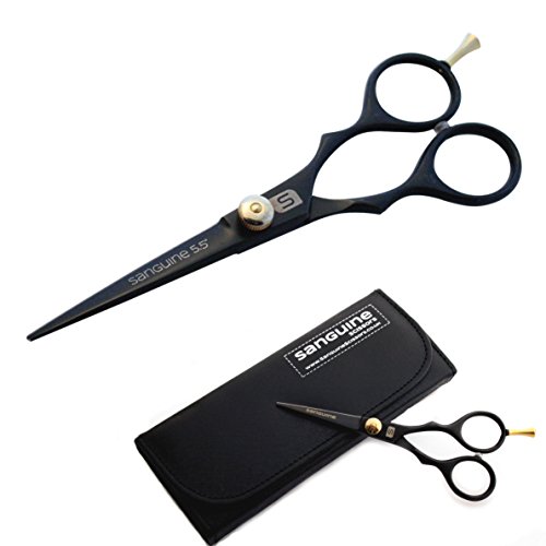 Professional Barber Shears, Hairdressing Scissors - 5.5 inch (14cm), Black + Presentation Case