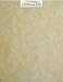 100 Old Age Parchment 65lb Cover Paper Sheets Cardstock Weight Colored Sheets 8.5X11 Inches Standard Letter Size - Printable Parchment