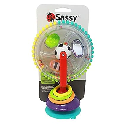 sassy activity center