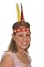 Jacobson Hat Company Native American Feather Headdress