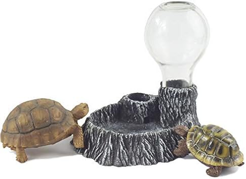 automatic lizard feeder